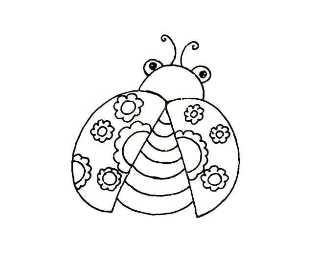 花纹翅膀的七星瓢虫简笔画(七星瓢虫花纹)