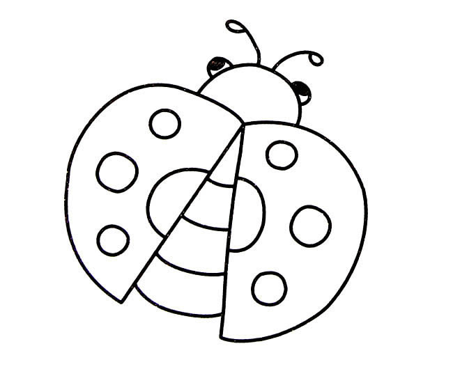 一看就会的七星瓢虫简笔画(秒懂百科七星瓢虫)
