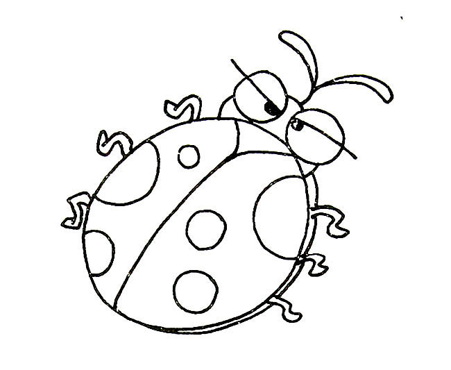 关于七星瓢虫的简笔画(我想看关于七星瓢虫)