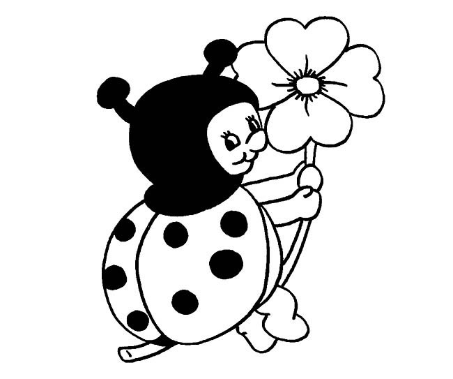 七星瓢虫小宝宝简笔画(七星瓢虫儿童手工怎么做)