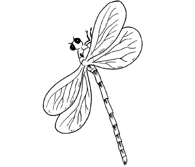 简单的蜻蜓儿童画(简单的蜻蜓儿童画图片)