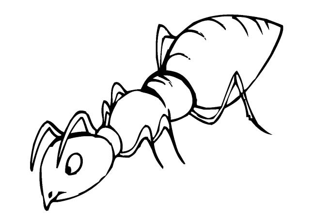 低头觅食的蚂蚁简笔画(低头觅食是什么意思?)