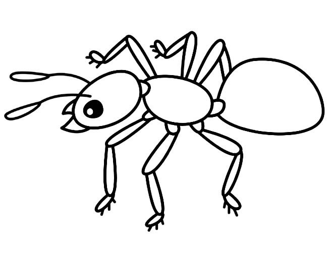 一只大蚂蚁简笔画(一只蚂蚁简笔画图片难超)