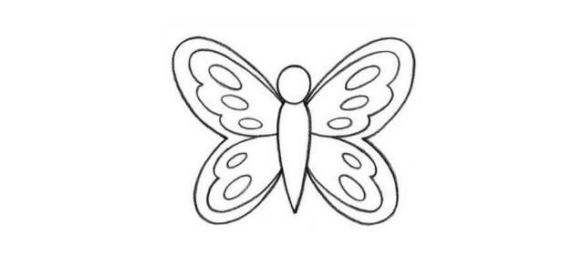 美丽的蝴蝶简笔画