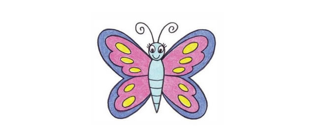 美丽的蝴蝶简笔画