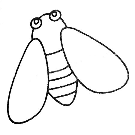 分享几张知了的简笔画(知了的画)