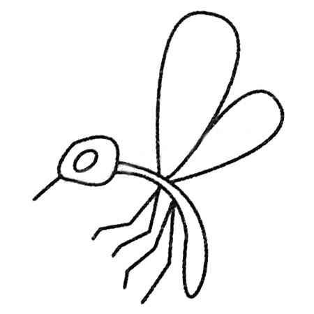 蚊子简笔画的画法步骤教程