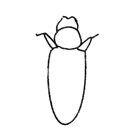 天牛简笔画的画法(天牛简笔画可爱)