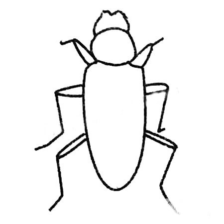 天牛简笔画的画法