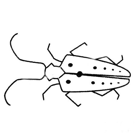 天牛简笔画图片大全(特别特别简单的天牛简笔画)