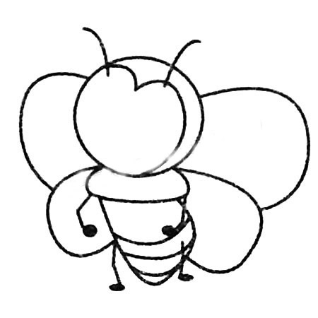 卡通昆虫蜜蜂简笔画