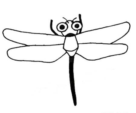 9种不同的蜻蜓简笔画