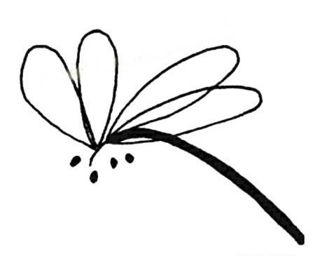 9种不同的蜻蜓简笔画
