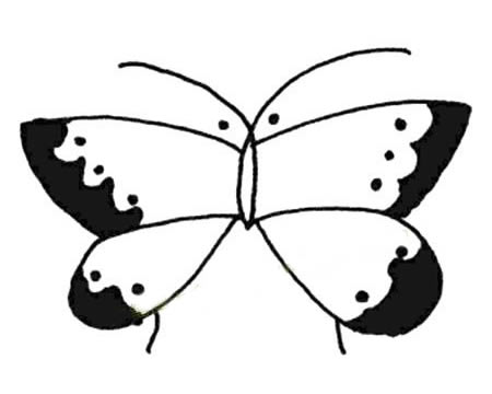 15张各不相同的蝴蝶简笔画(现有12张不同的卡片)