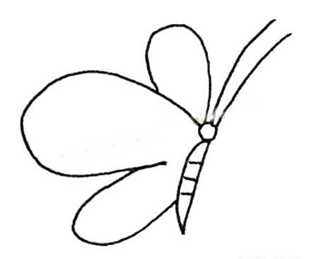 15张各不相同的蝴蝶简笔画