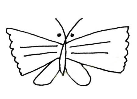 15张各不相同的蝴蝶简笔画