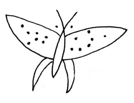 15张各不相同的蝴蝶简笔画