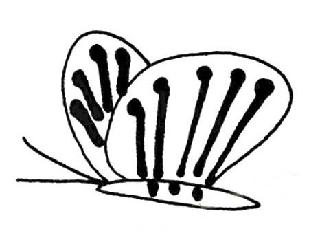 15张各不相同的蝴蝶简笔画