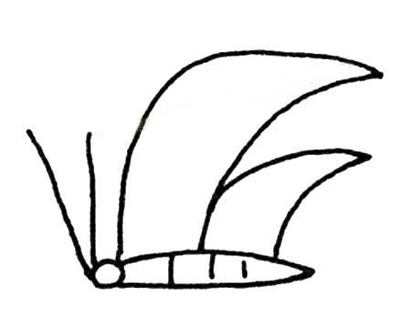 15张各不相同的蝴蝶简笔画