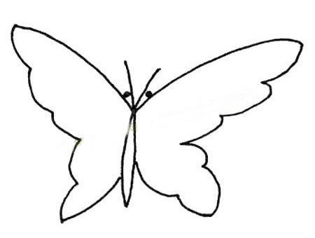 15张各不相同的蝴蝶简笔画