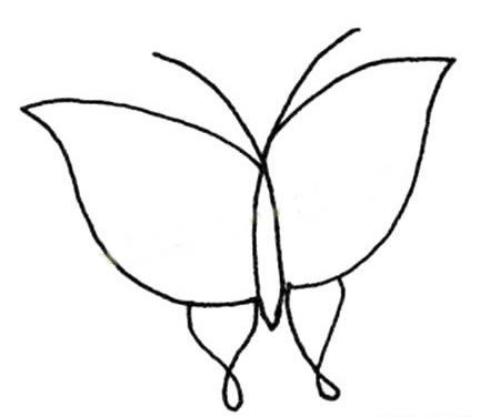 15张各不相同的蝴蝶简笔画