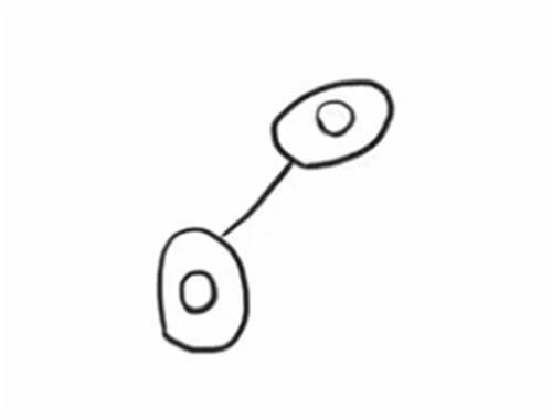 知了简笔画步骤教程(如何画知了简笔画)