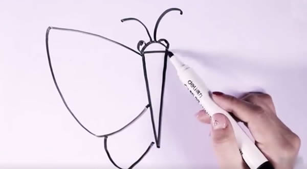 美丽的蝴蝶怎么画最简单