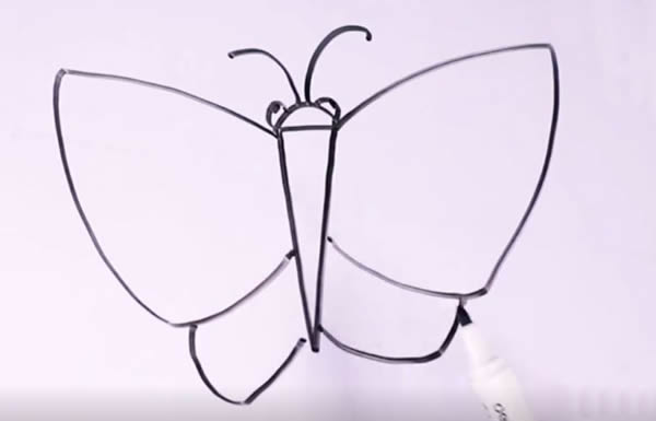 美丽的蝴蝶怎么画最简单