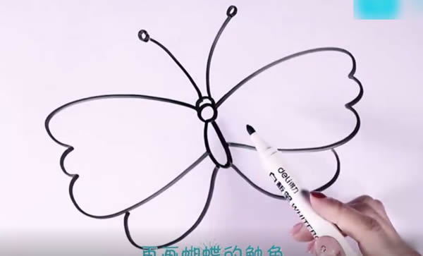 简笔画蝴蝶的画法步骤 简笔画蝴蝶的画法步骤