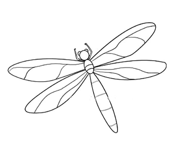 漂亮的绿蜻蜓简笔画(绿蜻蜓简笔画)