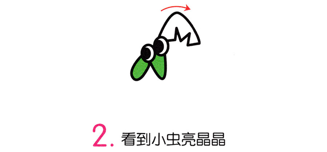 绿色的螳螂简笔画步骤