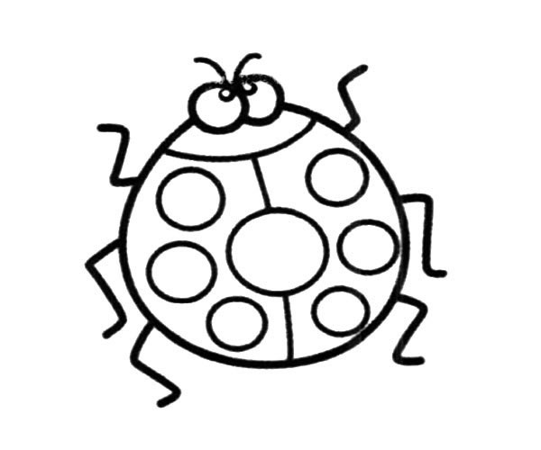 简单的七星瓢虫简笔画(简易七星瓢虫)
