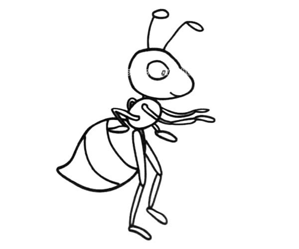 关于蚂蚁的卡通简笔画(蚂蚁的卡通画图片)