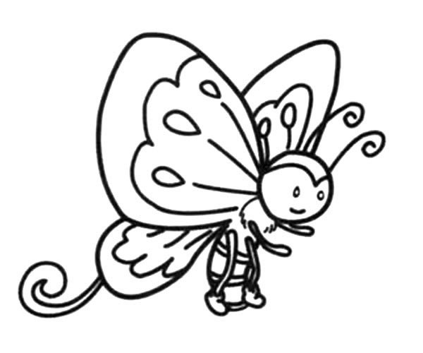 两张蝴蝶卡通简笔画