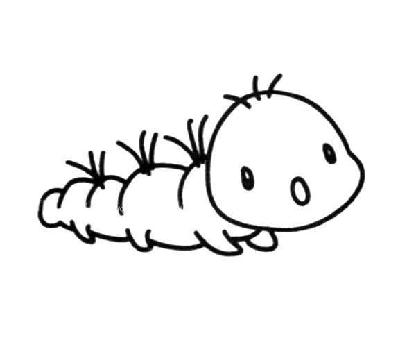 看着很可爱的毛毛虫简笔画(看着很可爱的毛毛怎么形容)