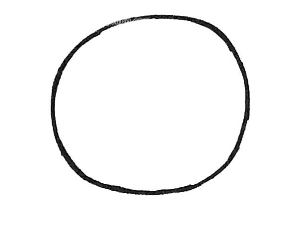 四步学会话七星瓢虫(七星瓢虫的步骤怎么做)