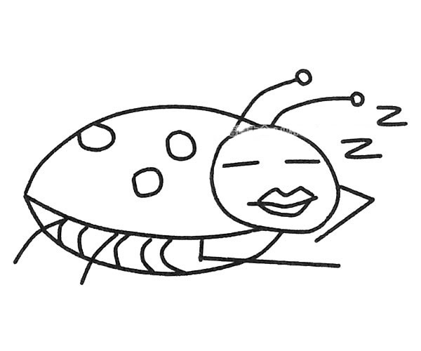 7款卡通七星瓢虫简笔画