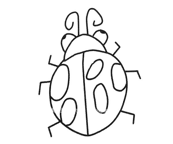 7款卡通七星瓢虫简笔画