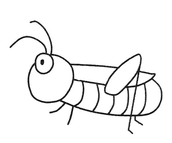 6款卡通蚱蜢简笔画