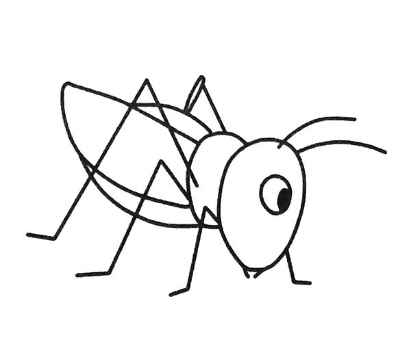 6款卡通蚱蜢简笔画