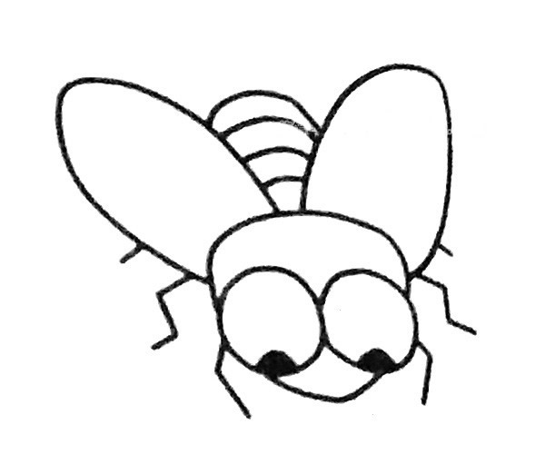 苍蝇简笔画步骤