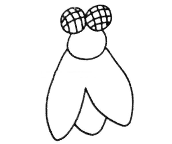 6款简单的苍蝇简笔画