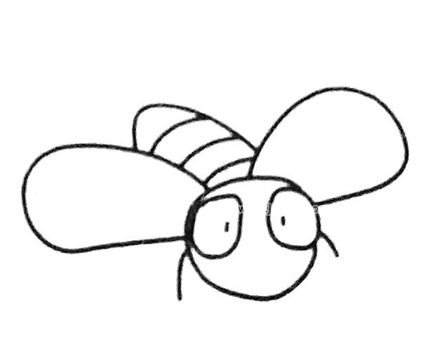 6款简单的苍蝇简笔画