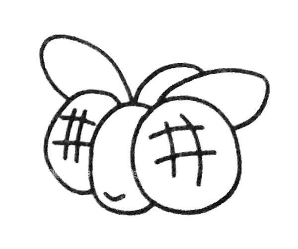 6款简单的苍蝇简笔画