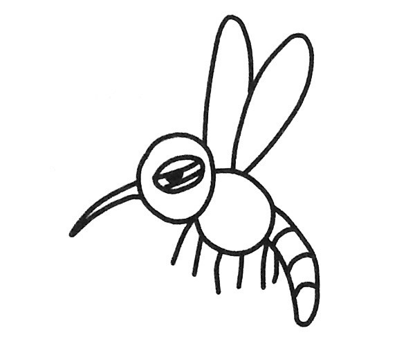 6款卡通蚊子简笔画