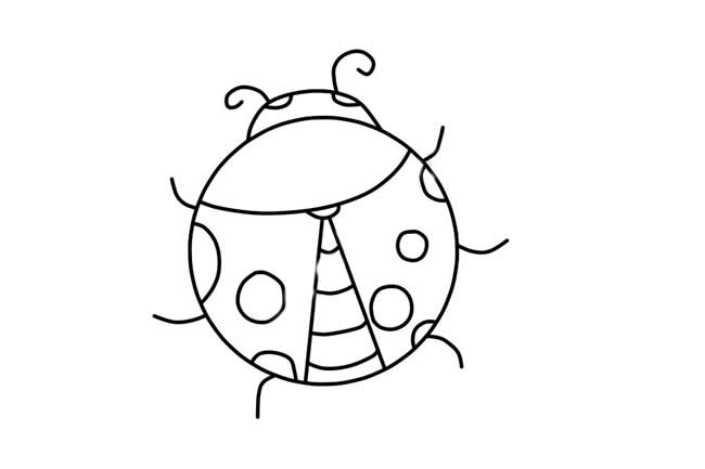 涂色的七星瓢虫简笔画 涂色的七星瓢虫简笔画