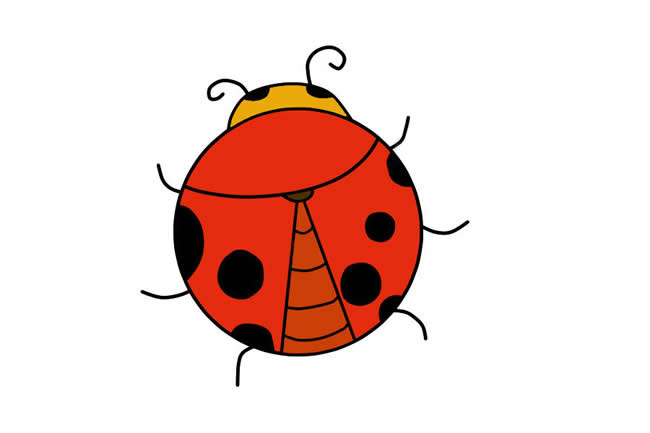 涂色的七星瓢虫简笔画 涂色的七星瓢虫简笔画
