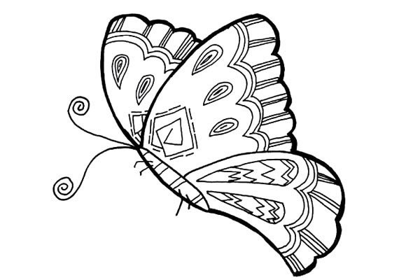 四张漂亮的蝴蝶简笔画