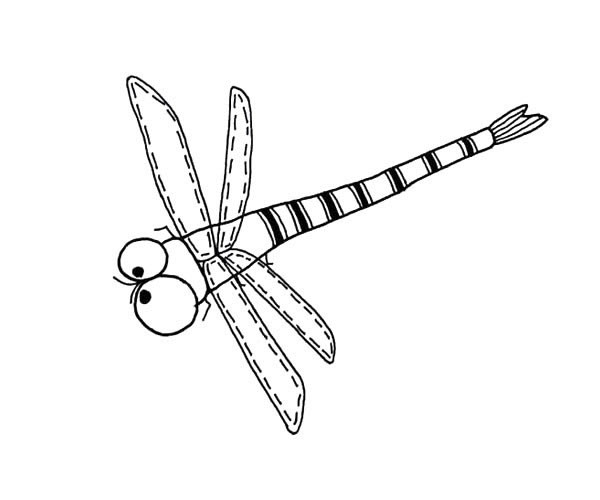 蜻蜓的简单画法