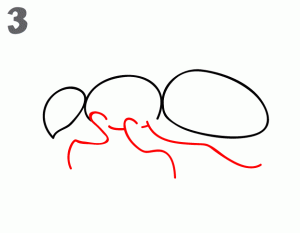 怎么画一只逼真的蚂蚁